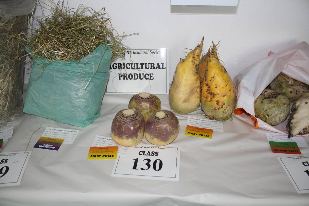 ../Images/Horticultural Show in Bunclody 2014--71.jpg